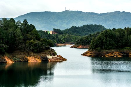 clear river surrounded by green leafed trees