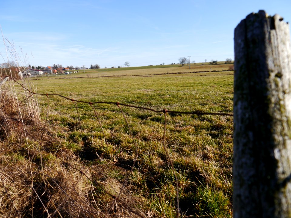 Zang, Germany, Field