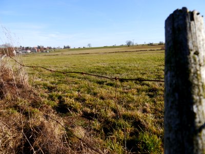 Zang, Germany, Field