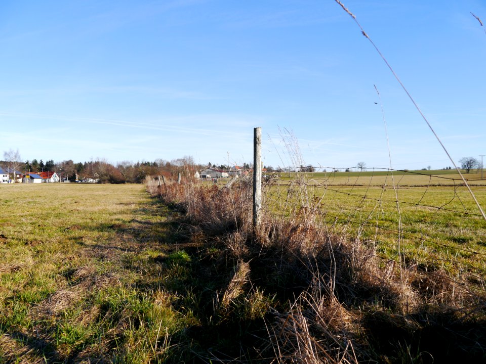 Knigsbronn, Germany, Field