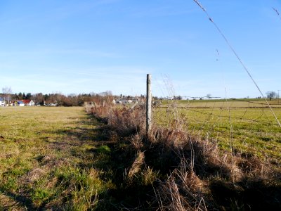Knigsbronn, Germany, Field