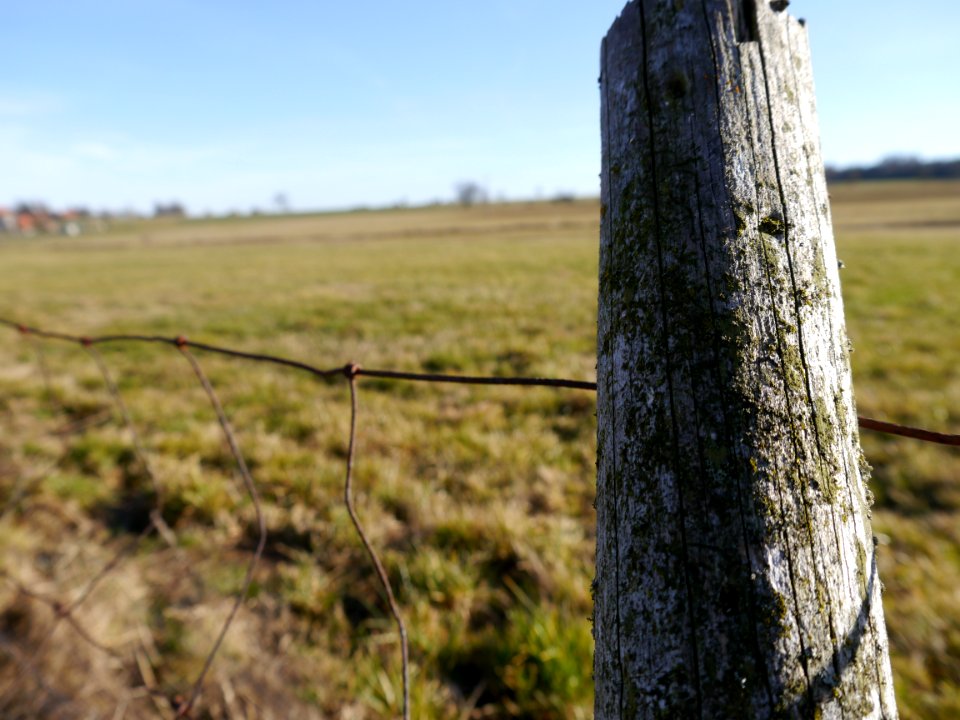 Fence