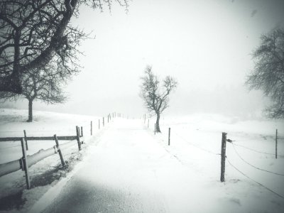 Winter, Snow, Street photo