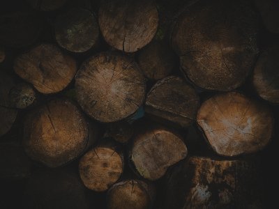 pile of wood log photo