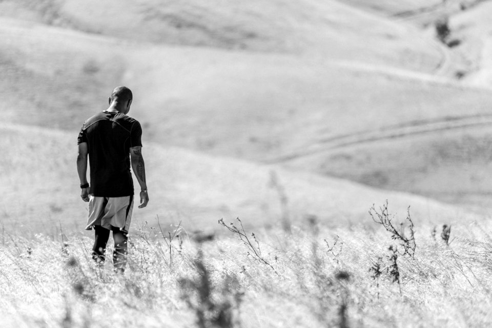 Livermore, United states, Fitbit