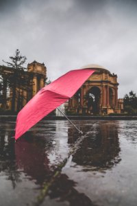 Palace of fine arts, United states, Rain photo
