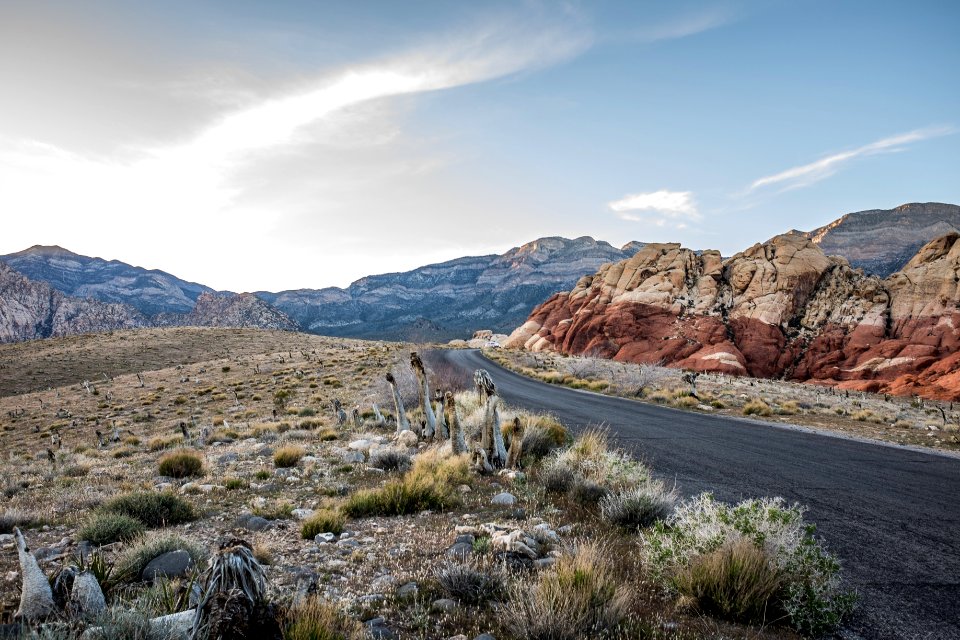 black concrete road surrounded by rocks during daytime