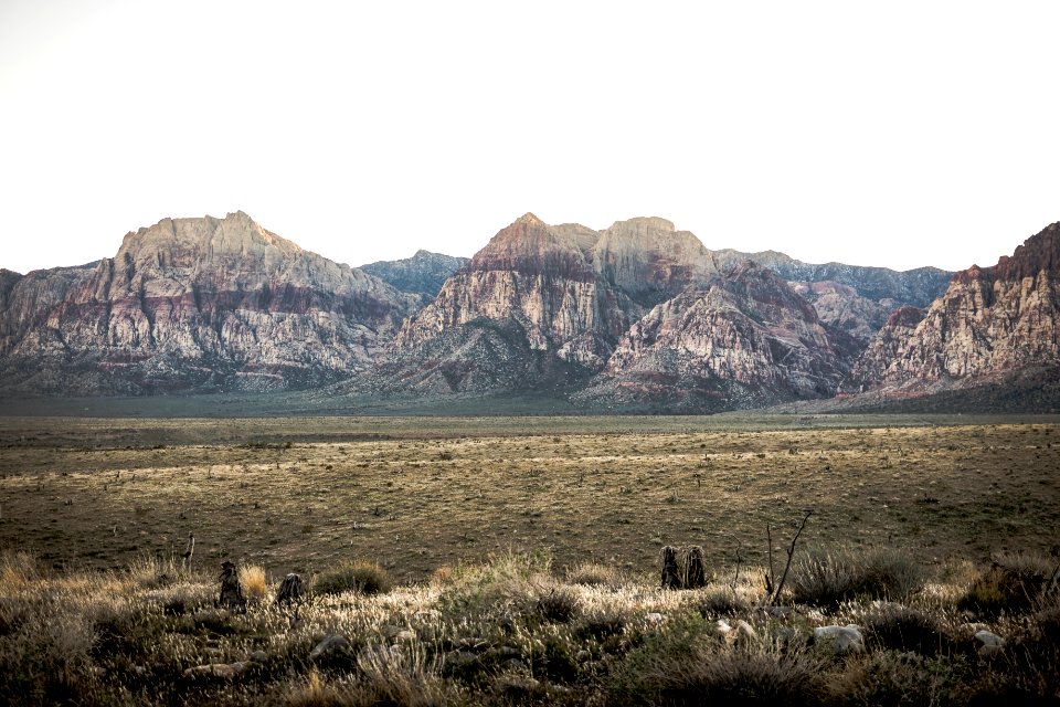 mountain front of field