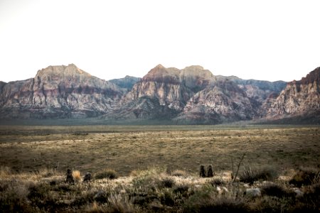 mountain front of field