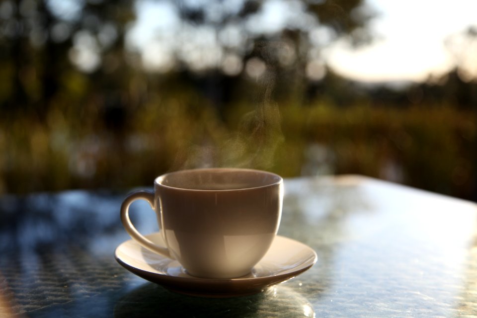 Bulga, Australia, Cup