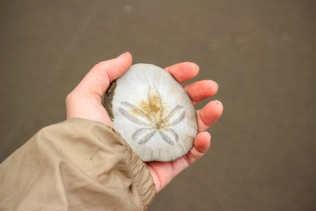 Depth of field, Beautiful, Object