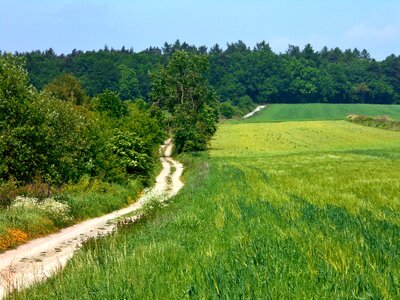 Green poland bolechowice