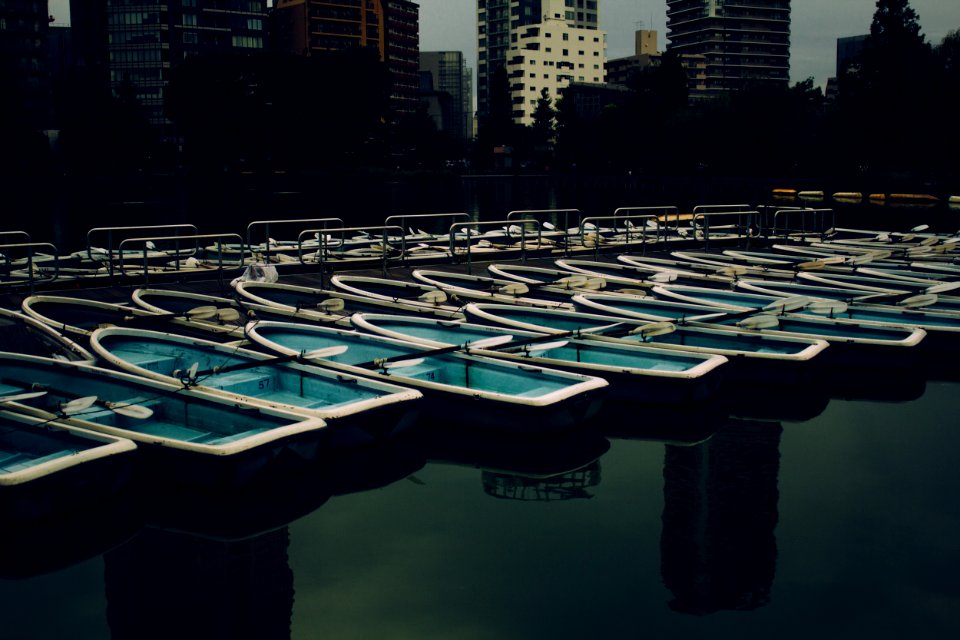 Ueno park, Taitku, Japan