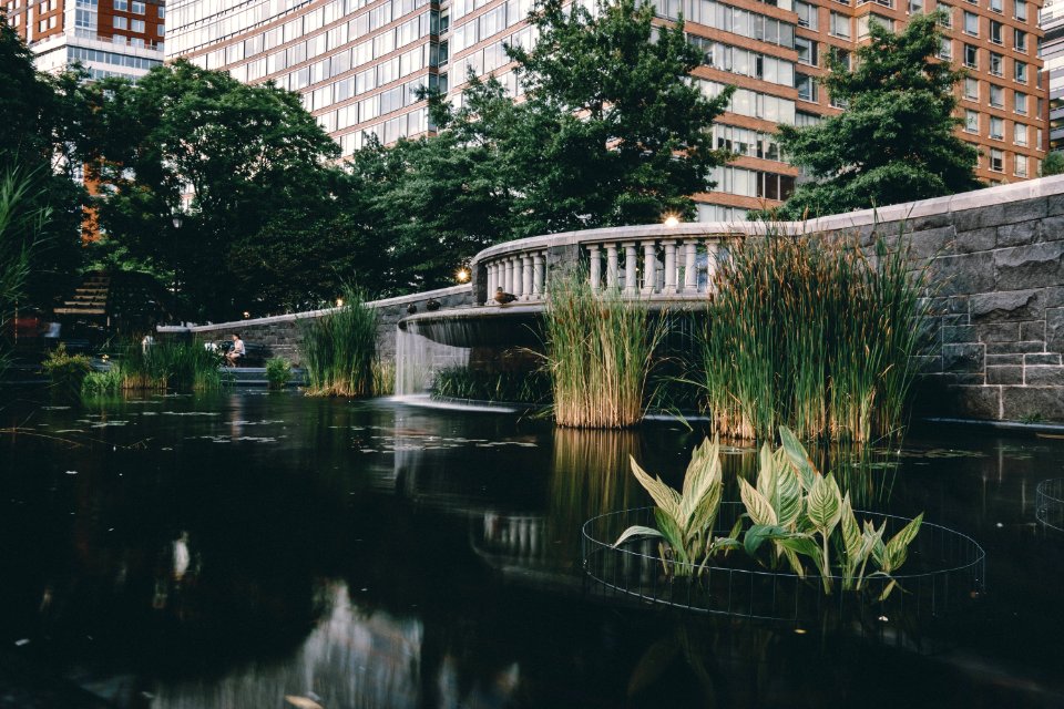 Moody, Calm, Greenery