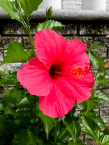 Color, Colorful, Vibrant