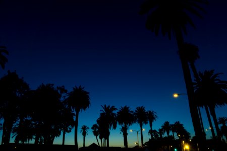 Santa monica, United states, Night sky