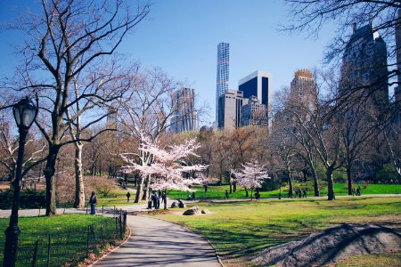 Central park, New york, United states photo