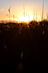 Lytchett bay, Poole, United kingdom photo