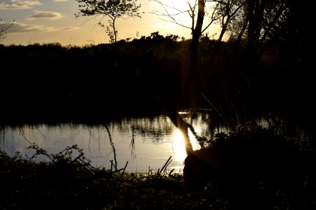 Lytchett bay, Poole, United kingdom photo