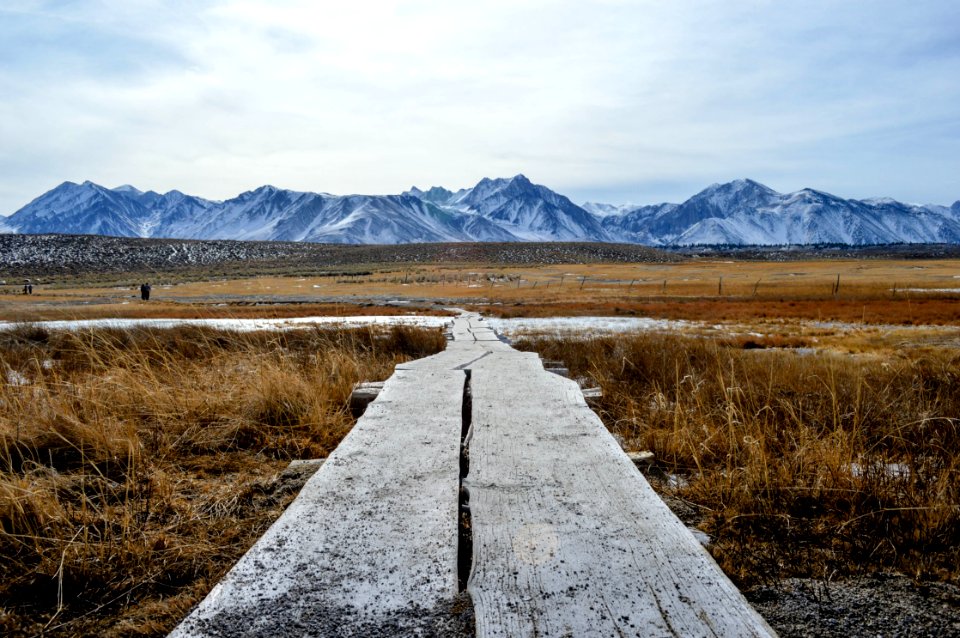 gray wooden bridge