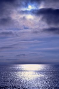 Gray whale cove state beach, Montara, United states