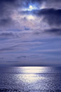 Gray whale cove state beach, Montara, United states photo