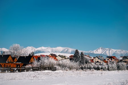 brown wooden house on snow covered ground during daytime photo