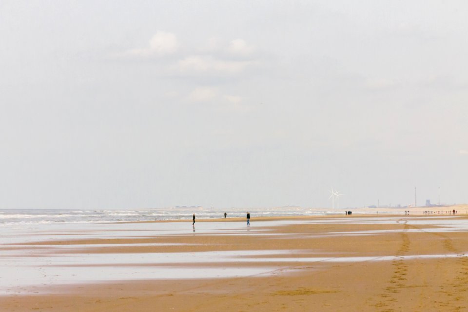 sea horizon during daytime