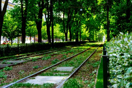 train rail near green trees during daytime photo