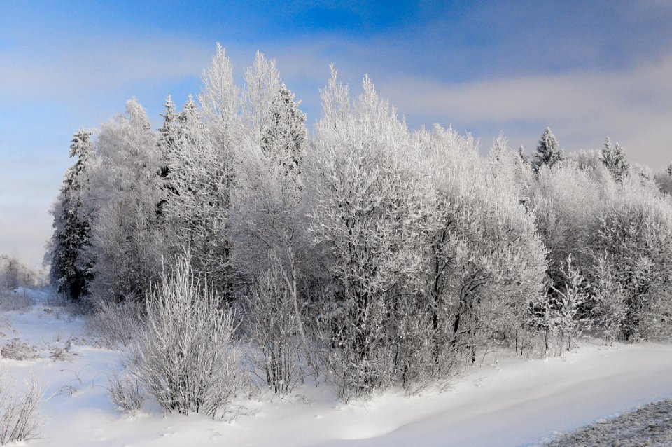 Volokolamsk, Russia, White