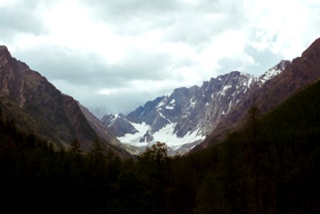 Russia, Altai mountains, Nature