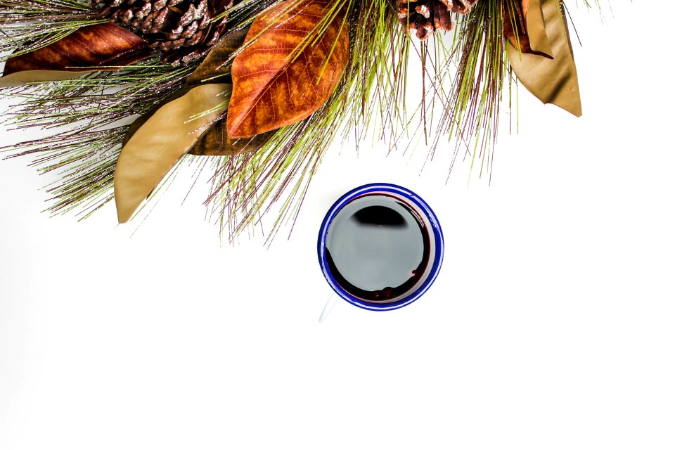 blue and black container beside plants