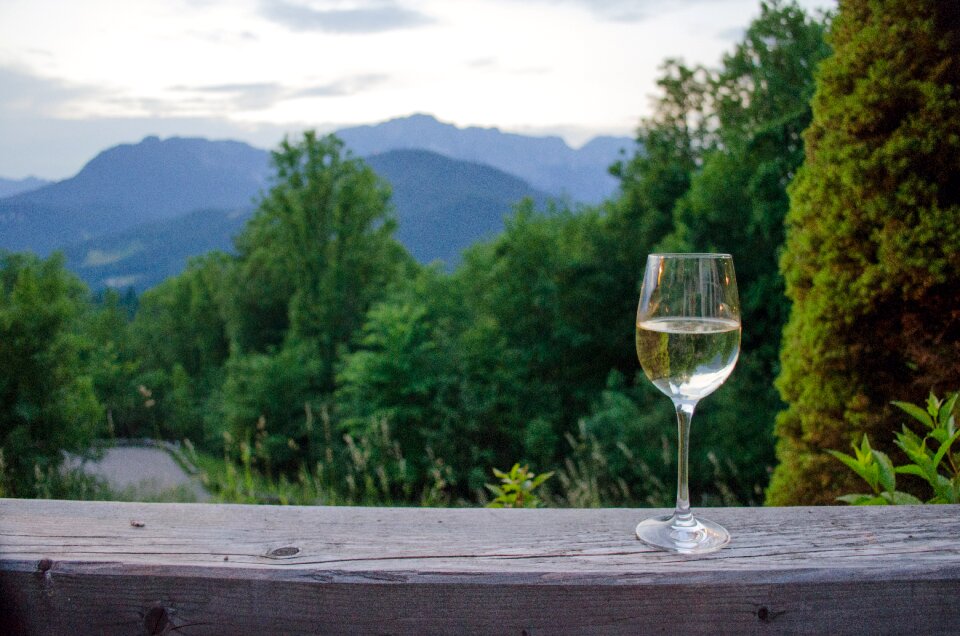 Panorama wine glass style
