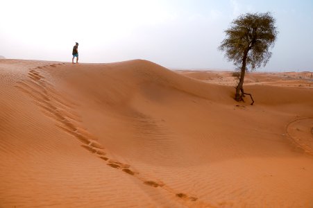 man walking on desert with one tree during daytime photo