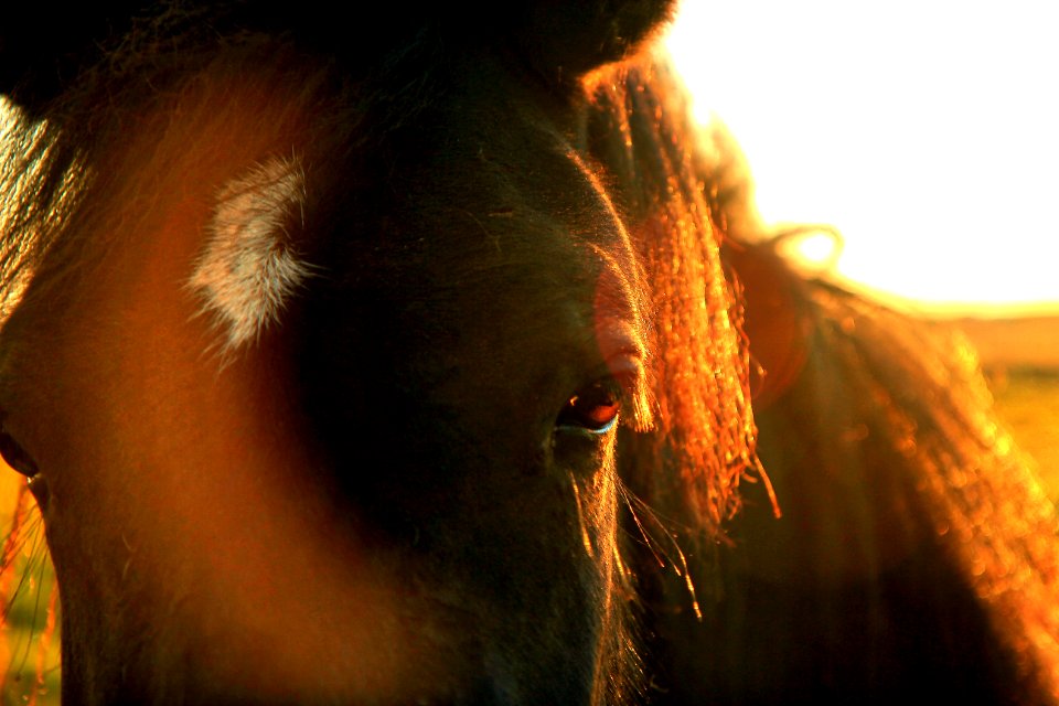 Sunset, Depth, Lighting