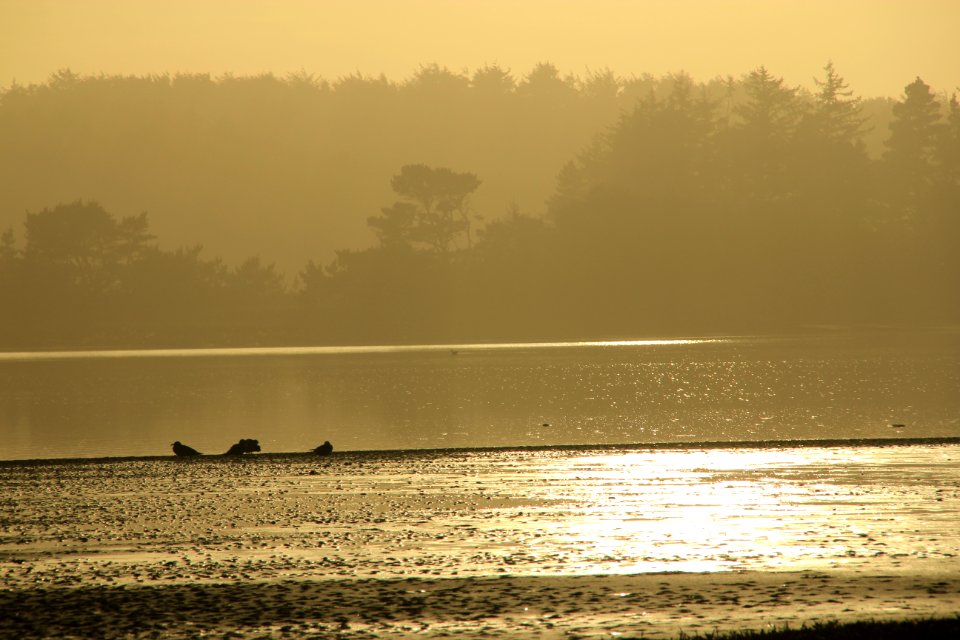 body of water during daytime