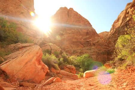 brown rock formation during daytime photo