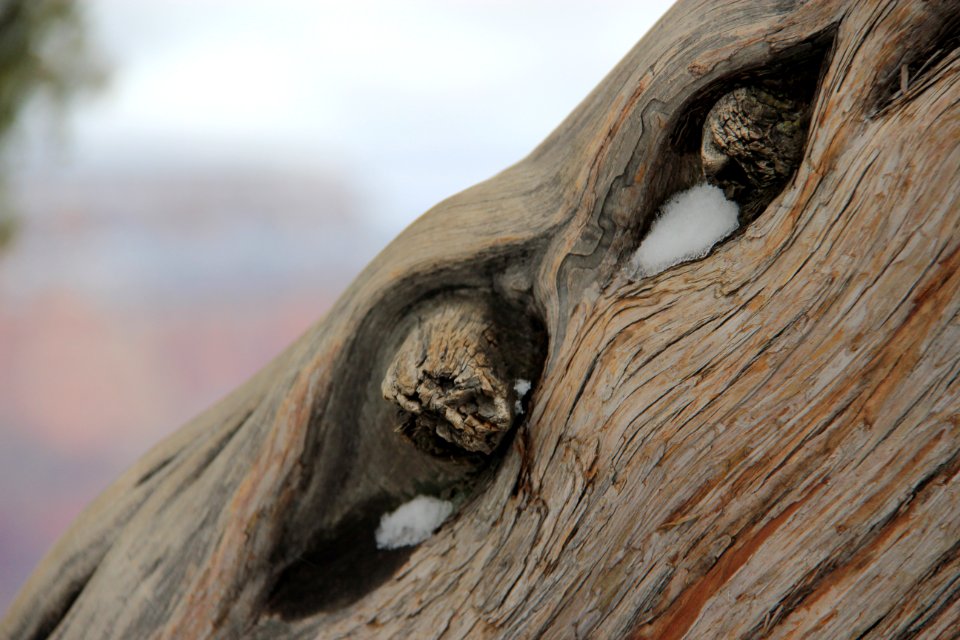 brown wood with water droplets photo