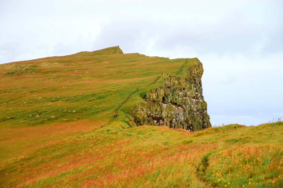 green grass field on mountain