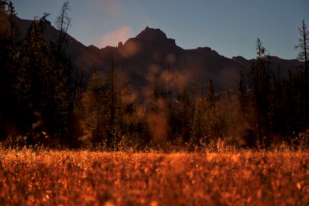 brown grass field near mountain during daytime photo