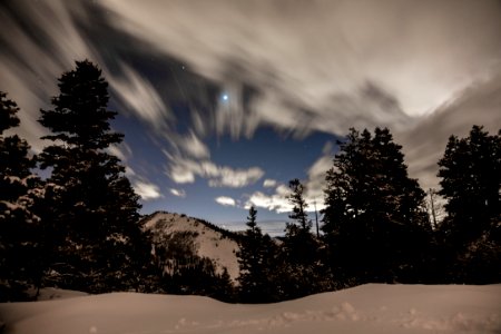 trees overlooking snow capped mountain in time lapse photography photo