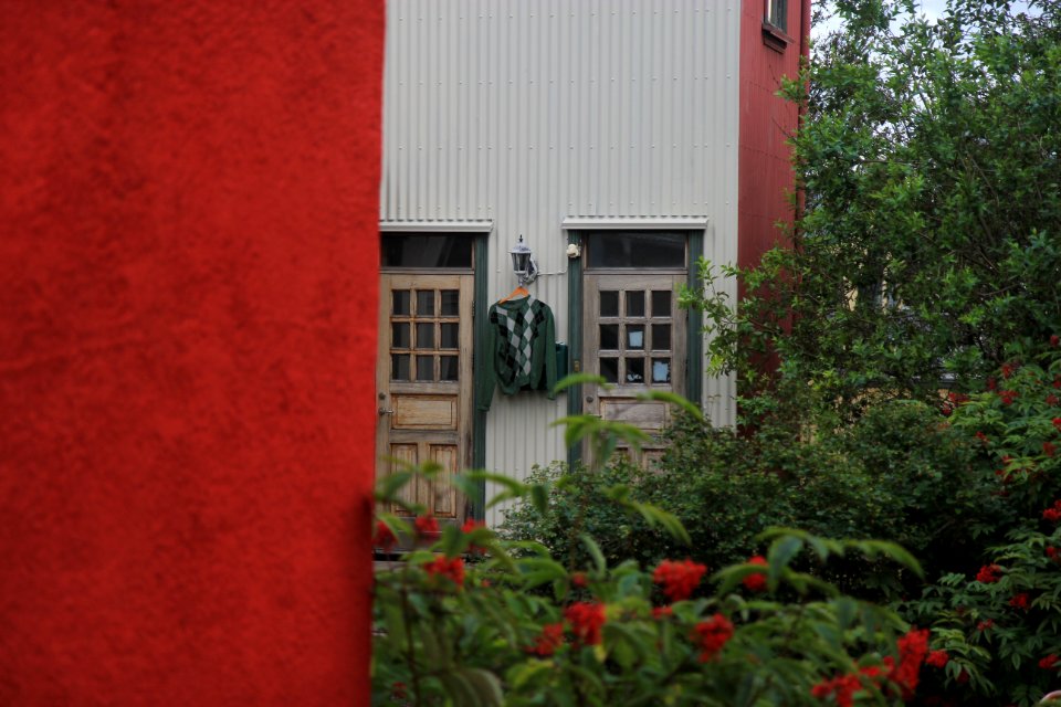 green plant near white wooden door
