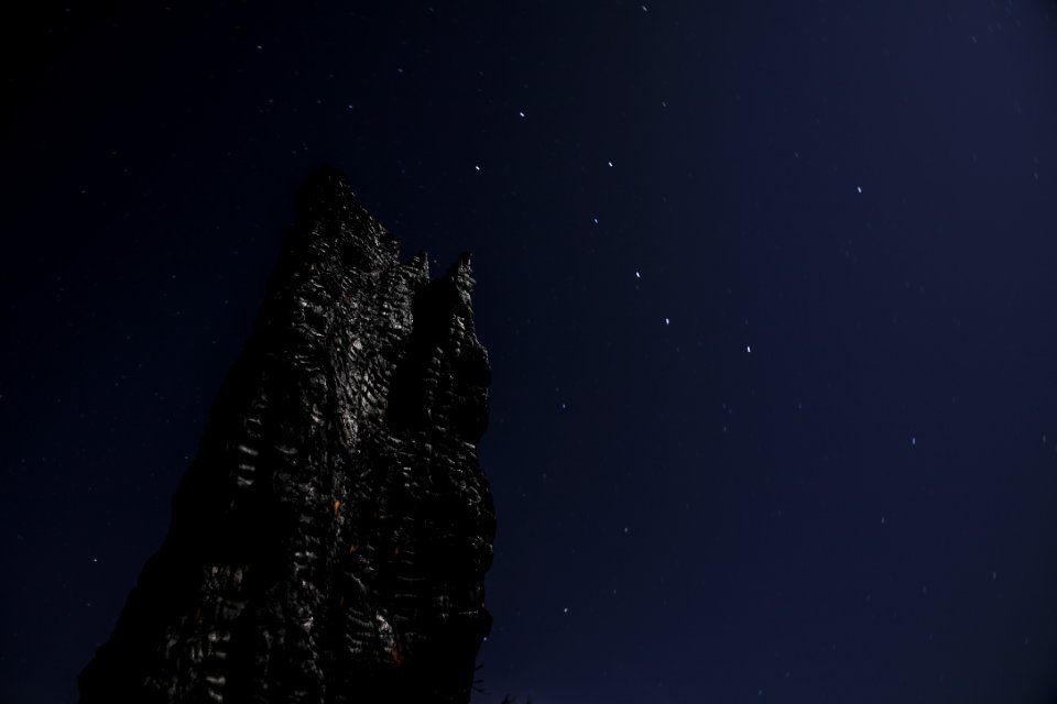 worm's-eye view of black rock