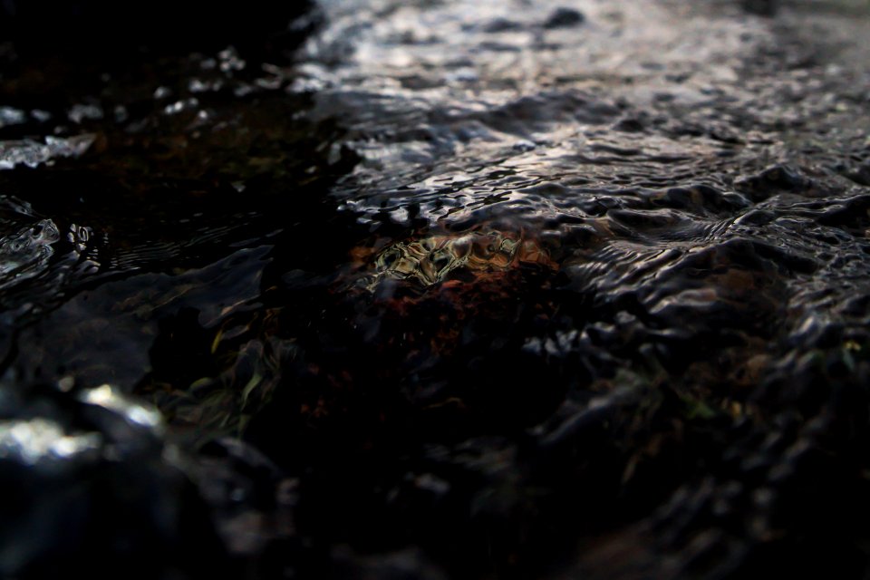 photography of body of water