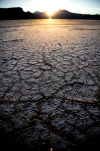 selective focus photography of dry soil
