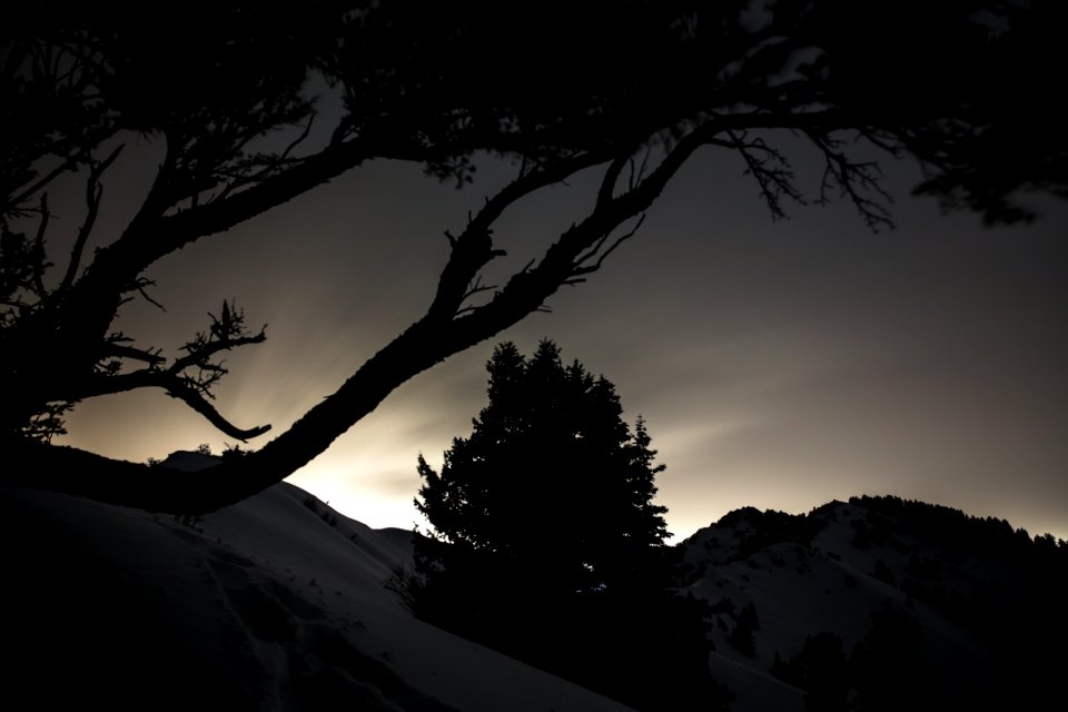 silhouette of trees on snow covered mountain during sunset