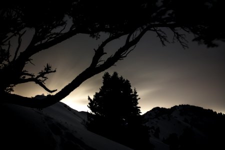 silhouette of trees on snow covered mountain during sunset