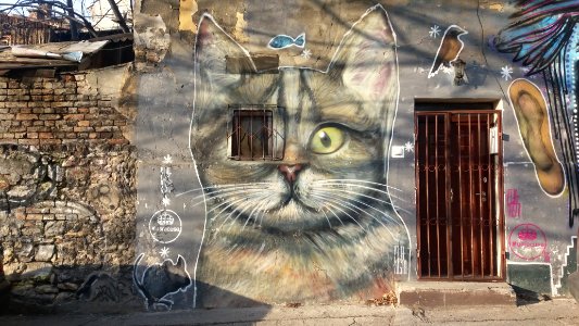 Belgrade, Serbia, Grafittiwall photo