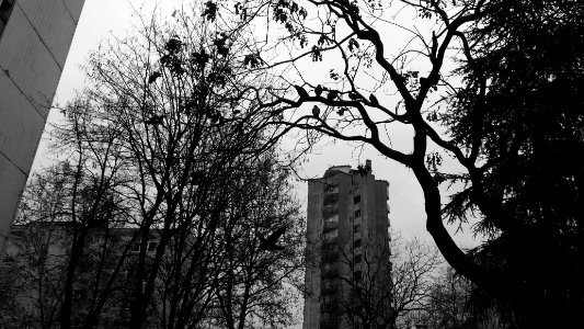 Belgrade, Serbia, Threes