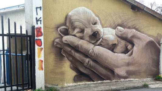 Belgrade, Serbia, Graffit